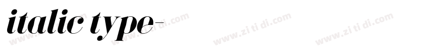 italic type字体转换